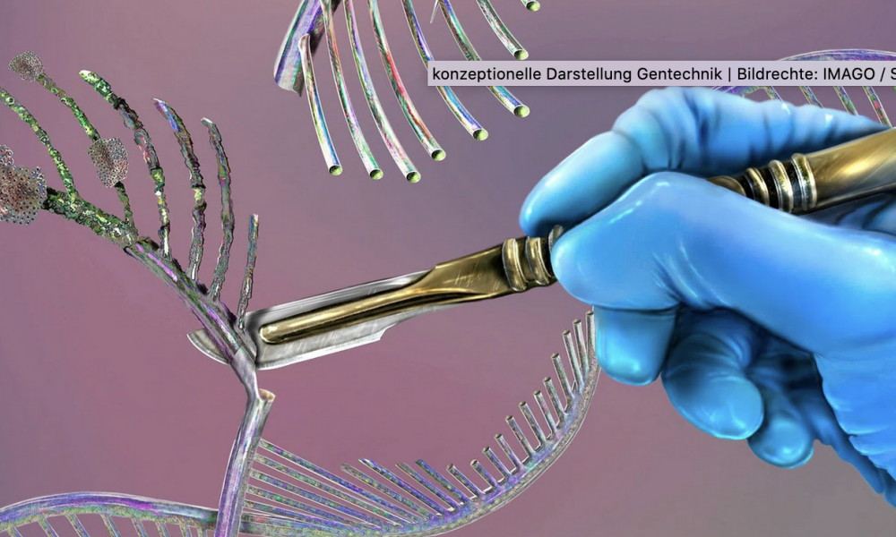Was in dieser künstlerischen Darstellung ein Skalpell tut, tut bei der CRISPR/Cas-Methode eigentlich ein Enzym: Es spaltet die DNA an einer gewünschten Stelle auf.